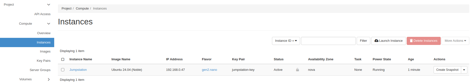 Instances list in Horizon
