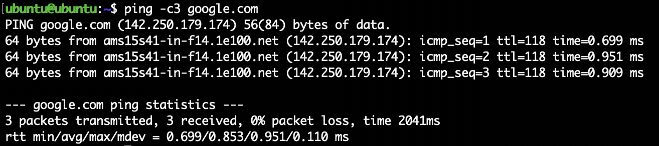 Ping Google