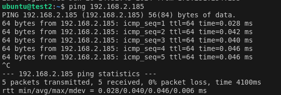 ping test 1