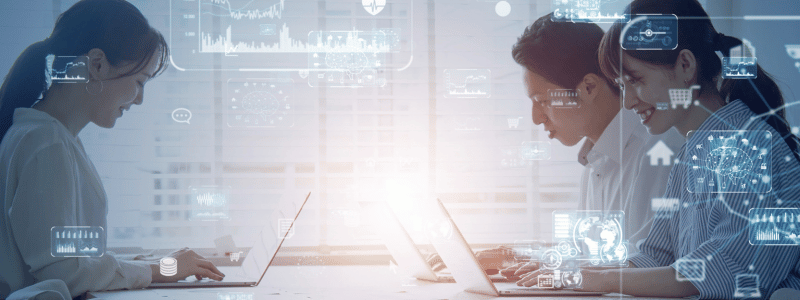 Enterprise Resource Planning (ERP) Systems